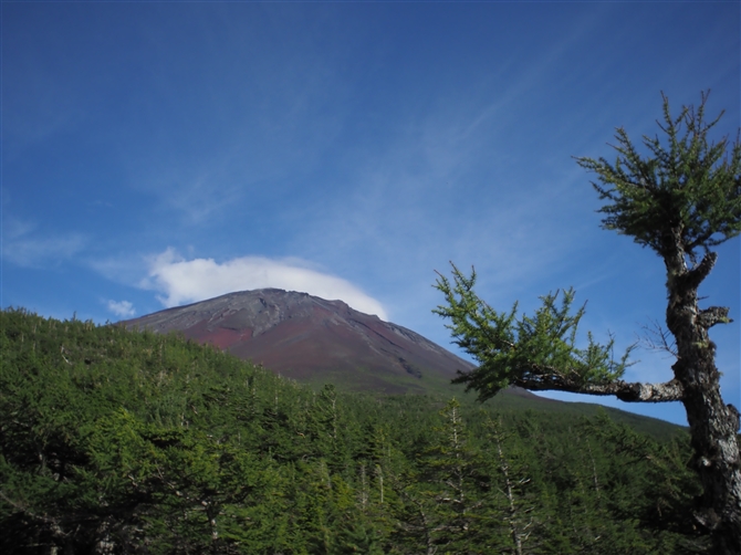 xmR,Mt. Fuji
